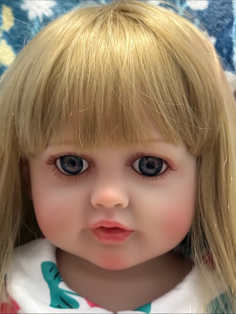 Doll (Reborn) New in Box